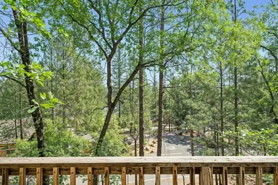 a wooden deck looking out into the woods at Marina Beach Cabin - Dog-Friendly Home with Deck! home in Groveland