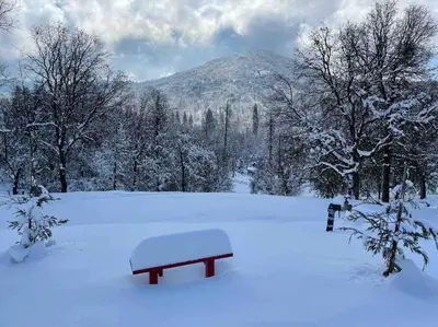 a bench in a field covered in snow at Modern House on 5 acr in Sequoia National Forest in Panorama Heights