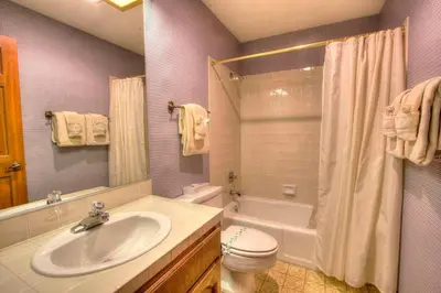 a bathroom with a sink and a toilet and a shower at Ski Lake Lodge home in Incline Village