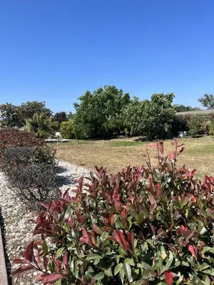 a bush with red flowers in a garden at Travel Inn Gilroy in Gilroy