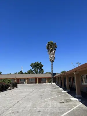 a palm tree in a parking lot in front of a building at Travel Inn Gilroy in Gilroy