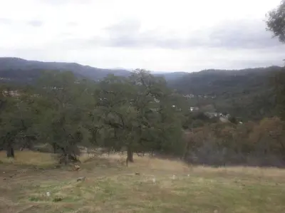 a view of a field with trees and mountains at Mariposa Ridge Retreat in Mariposa