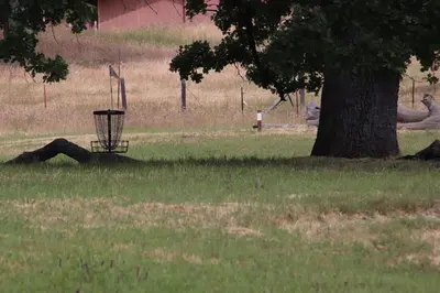 a person laying in the grass next to a tree at Casa Mariposa - A Foothill Retreat near Yosemite in Mariposa