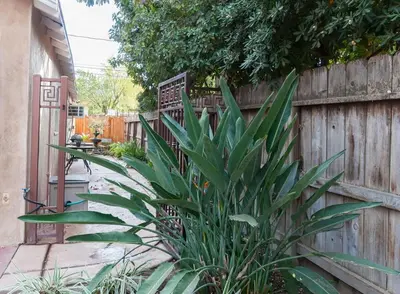 a plant in front of a wooden fence at Sequoia Studio with Private Patio in Visalia