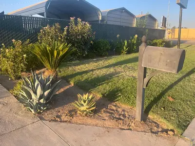 a sign sitting in the grass next to some plants at Town House Motel in Sanger