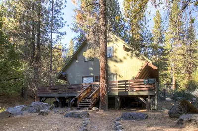 a cabin in the woods with a tree at Yosemite's Creekside Birdhouse in Wawona
