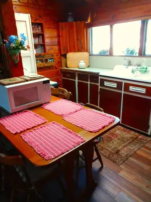 a kitchen with a table with a microwave at Idylwild-Lake Area in Bass Lake