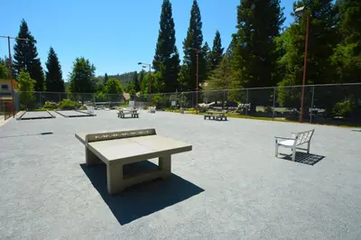 a park with a bench and a chair at Walter- Lake AreaFree Night Special in Bass Lake