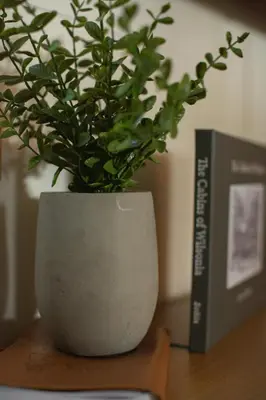a plant in a vase on a table next to a book at Sequoia Glen in Wilsonia