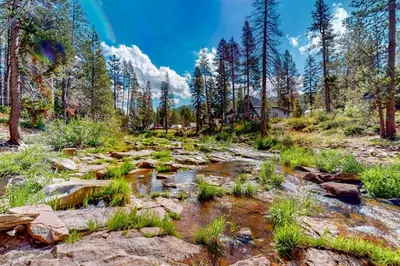 a stream in the middle of a forest with trees at Sierra Secret in Soda Springs