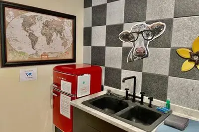 a kitchen with a sink with a cow head on the wall at Crazy Cow Private HOT TUB BBQ Sleeps 2 in Ahwahnee