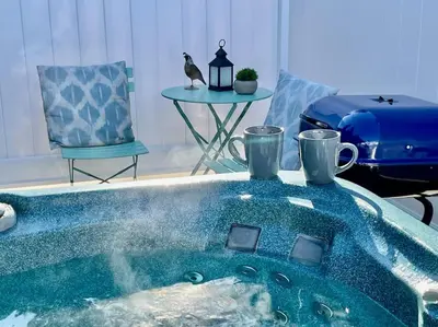 a hot tub in a living room with a cat sitting on a chair at Quail Suite HOT TUB BBQ Sleeps 2 in Ahwahnee