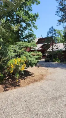 a garden with yellow flowers and trees and a building at Yosemite Mountain Retreat in Oakhurst