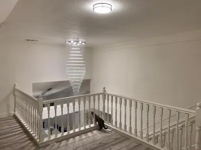 a black cat walking down a staircase with a chandelier at Executive home in a serene park like setting in Folsom