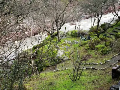 a view of a park with a river and trees at Sierra River House 5 min to Sequoia Park Entrance in Three Rivers