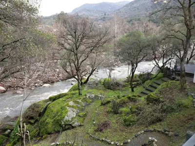 a river with trees and stairs next to a river at Sierra River House 5 min to Sequoia Park Entrance in Three Rivers
