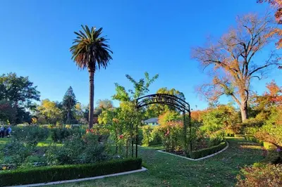 a garden with a palm tree in the middle at Artist's retreat near the heart of the city in Sacramento