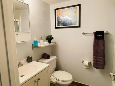 a bathroom with a toilet and a sink and a mirror at Artists Condo GAME ROOM Patio near UC Med Center in Sacramento