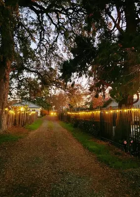 a fence with lights on it next to a road at Sweet Home in Sacramento Only 2mins to Freeway in Sacramento