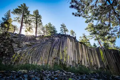 a group of people standing on top of a tree covered hill at Sierra Park Villas 39 H in Mammoth Lakes