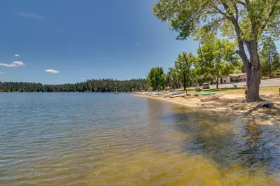 a view of a lake with trees and a beach at Jordan Oak in Groveland