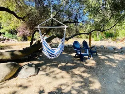 two chairs and a hammock hanging from a tree at Sequoia Cabin by the River in Three Rivers