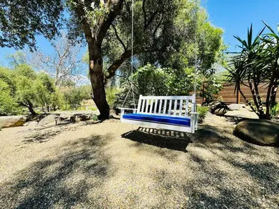 a swing hanging from a tree in a park at Sequoia Cabin by the River in Three Rivers