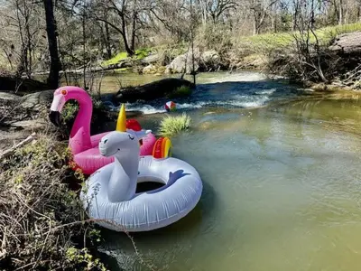 two inflatable flamingos are sitting in a river at Creekside Suite Sleeps 2 Creek frontage Bbq in Oakhurst