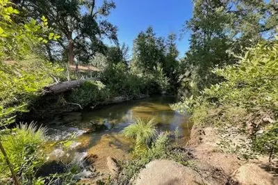 a river in the middle of a field with trees at Creekside Suite Sleeps 2 Creek frontage Bbq in Oakhurst