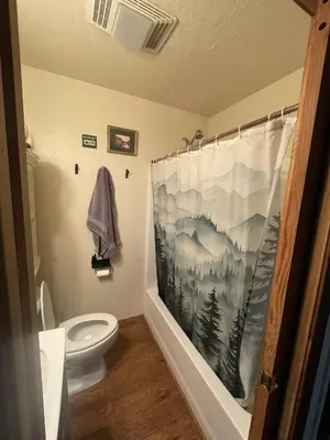 a bathroom with a shower curtain and a toilet at Stewart Chalet @ Yosemite/Bass Lake in Bass Lake