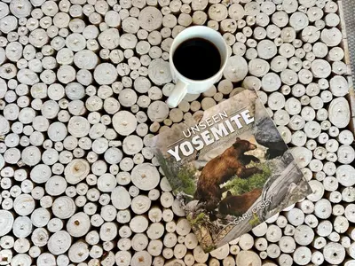 a book and a cup of coffee on a pile of wood at Prime location Yosemite Adventure by Casa Oso in Oakhurst