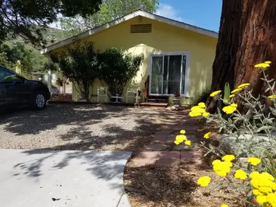 a house with a tree and yellow flowers in front of it at Yosemite Plaisance Bed & Breakfast in Mariposa