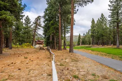 a road in a park with trees and a house at Cabins 1 in Mammoth Lakes