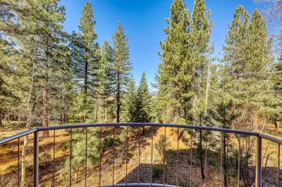 a view from a balcony of a forest at Remarkable Roundhouse Retreat in Truckee