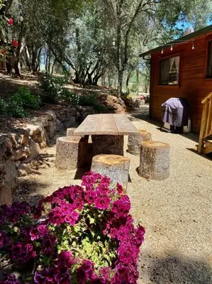 a picnic table and flowers in front of a cabin at B-B Ranch Cottage~Heart of Gold Country~*HOT TUB* in Pilot Hill