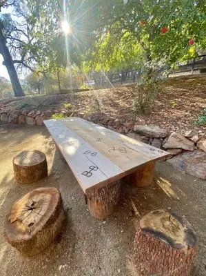 a wooden bench sitting next to some logs at B-B Ranch Cottage~Heart of Gold Country~*HOT TUB* in Pilot Hill