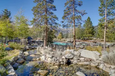a stream in a yard with rocks and trees at Breathtaking Olympic Valley Gem Walk to Chairlift in Olympic Valley