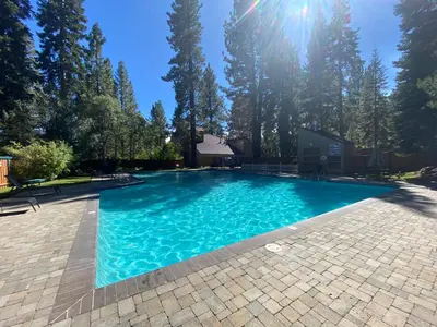 a swimming pool in a yard with trees at Alpine Escape: Tahoe Oasis Steps from Lake in Carnelian Bay