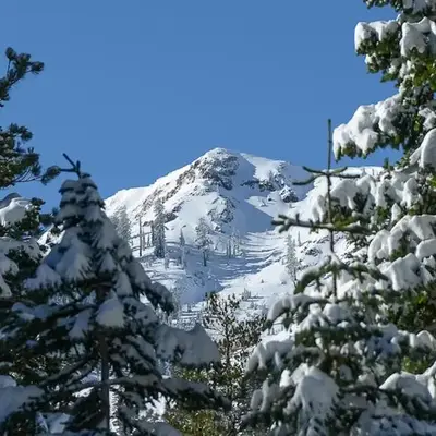 Big John at Alpine Meadows by Tahoe Getaways - Mountain Views