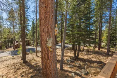 a bear carved into a tree in the woods at Tree Haus by Tahoe Getaways - Unique Pet-Friendly Tahoe Donner Home w EV & HOA Pool & Beach in Truckee