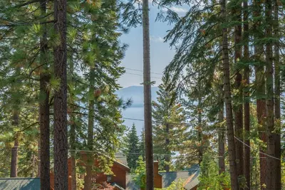 a group of trees with a house in the background at Ember Ridge Retreat by Tahoe Getaways - 3BR Pet-Friendly Carnelian Bay Rental w Fenced Yard, Ping Pong, Hot Tub, Near Northstar in Carnelian Bay