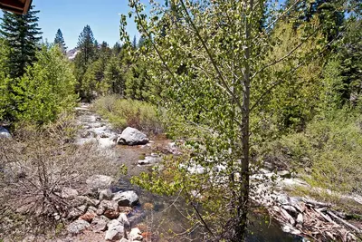 a tree in the middle of a river with rocks at Creek Side- 4 Primary Suites, Hot Tub, Shuttle to Slopes, Pet Friendly in Olympic Valley