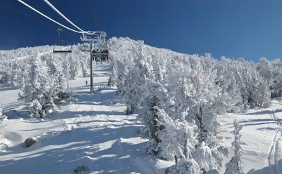 a ski lift with snow covered trees on a ski slope at 107 McCloud - Highly Sought After Complex in Incline Village