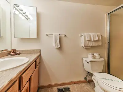 a bathroom with a toilet and a sink and a mirror at Perfect location walk to town and nature in Incline Village