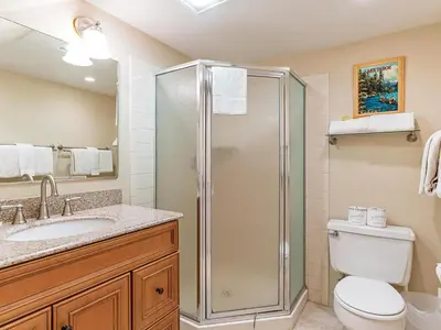 a bathroom with a shower and a toilet and a sink at 214 Forest Pines Nicely Decorated 4 Bedroom Condo in Incline Village