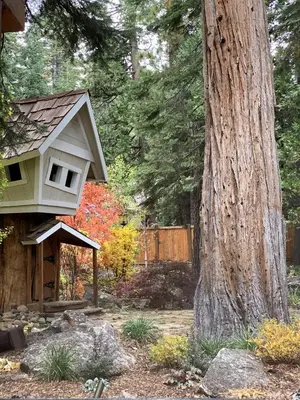 a bird house on the side of a tree at Secret Garden Lodge - 4BR Walking Distance to the Lake, Hot Tub, Close to Ski Resorts! in Carnelian Bay