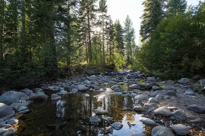 a river with rocks and trees in a forest at Ward Creek Retreat - Cozy Old Tahoe Cabin w Short Drive to Ski Resorts Pet Friendly in Tahoe City