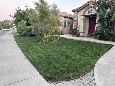 a yard in front of a house with a sidewalk at California Cottage in Tracy