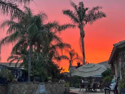 a sunset with palm trees and a table with an umbrella at California Cottage in Tracy