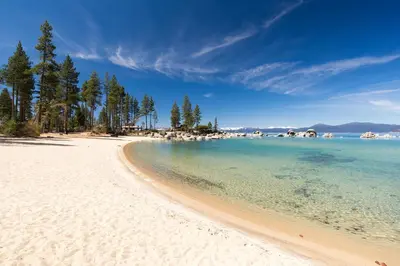 a view of a beach with trees and the water at The perfect getaway for a small group or families in Incline Village